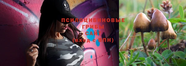 молекула духа Беломорск