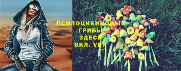 молекула духа Беломорск