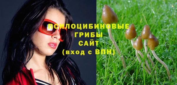 гашиш Белокуриха