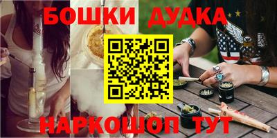 индика Лесосибирск