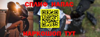 индика Лесосибирск